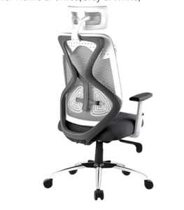 Ergonomic Mesh Office Chair with Adjustable Headrest, Breathable Back, Height Adjustable Seat, Armrests & 360° Swivel for Home & Office(Grey & White) other brands ₹6000+