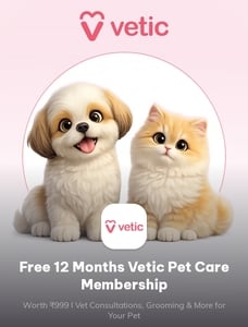Times Prime: Free 12-Month Vetic Pet Care Membership | Worth ₹999