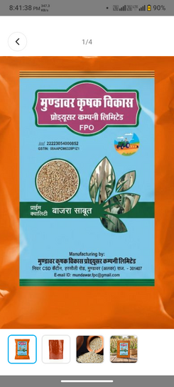 Bajra Sabut / Whole  500 gm*2 (1kg)@33