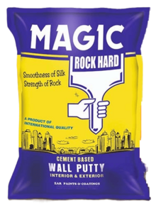 Wall Putty Powder (1 KG Bag)