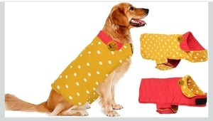 Sage Square 2 in 1 Premium Reversible Double Side Dog Coat, Ultra Warm Windproof Winter, Thicker Fleece Jacket for Cold Weather (Yellow and Red) (Small-Medium) (14 Inches)