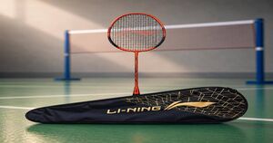 Badminton for 399
