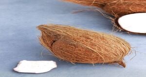 coconut 1 pc