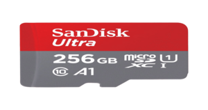 Swiggy : Sandisk 256 Gb memory card (Location Specific)