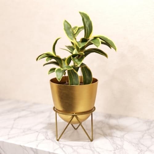 Lifelong Metal Plant Stand Indoor Planter Pot with Stand