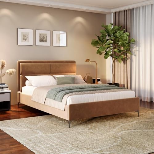 Wakefit Bed | Queen (78 X 60) Solid Wood Bed, Upholstered, Without Storage