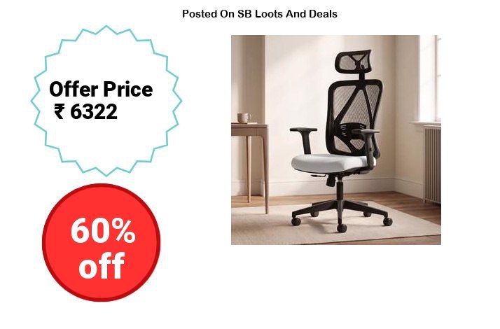 DROGO Ergonaut Ergonomic Office Chair for Work from Home | C