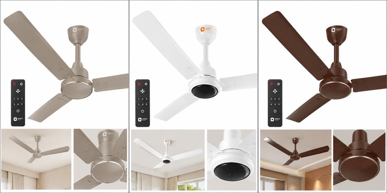 Zenova 1200mm BLDC Ceiling Fan @2899