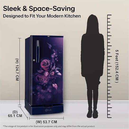 LG 185 L, 4 Star, Smart Inverter, Direct Cool Single Door Refrigerator