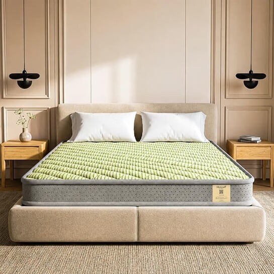 Shayan Dual Comfort Mattress | 4 inch Queen Size | Reversible Design with Soft & Firm Sides |75x60x4 Inches Green.