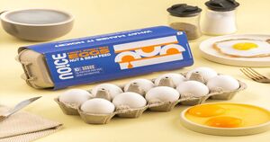 NOICE High Protein Eggs (Nut & Bean Feed) 10 piece