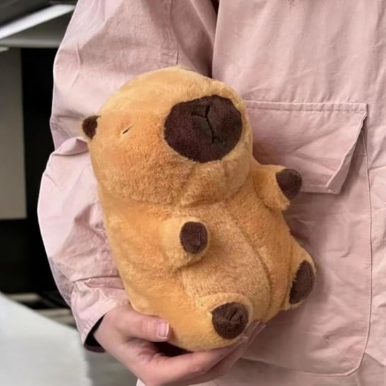 FuzzyTales Baby Capybara Soft Toy 25cm | Kawaii Plush | Kids Adults | Birthday Gift | Room Decor