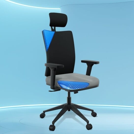 The Sleep Company Onyx SmartGRID Premium Orthopedic High-Back Desk Chair for Office & Home Nylon Office Executive Chair (Black, Grey, Optional Installation Available)