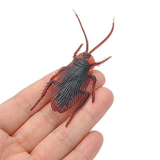 Rock World Cockroaches Prank Life Like Fake Cockroach Prank Trick Toys Looks Real (Brown) for Kids Cockroach Prank Toy Suitable for Kids to Play and Give as Gifts (Pack of 1)