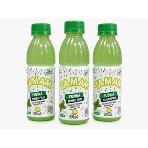 Pudina Nimbu Pani 160ml × 3 – Refreshing Mint & Lemon Drink | Great Deal