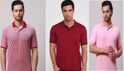 Park Avenue SPYKAR Raymond Tees up to 70 % off & extra 10 % off