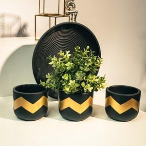TrustBasket Terra Craze Clay Flower Pots Set of 3